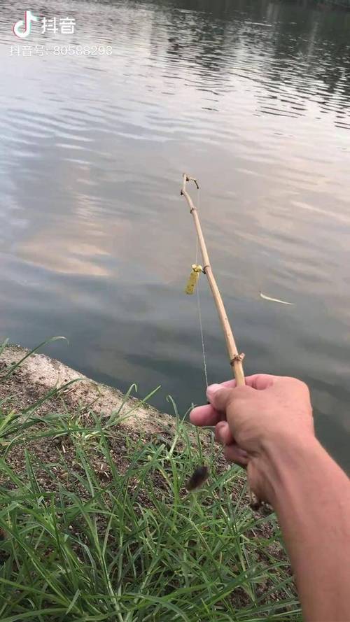 如何让钓鱼竹竿缩短，如何让钓鱼竹竿缩短呢