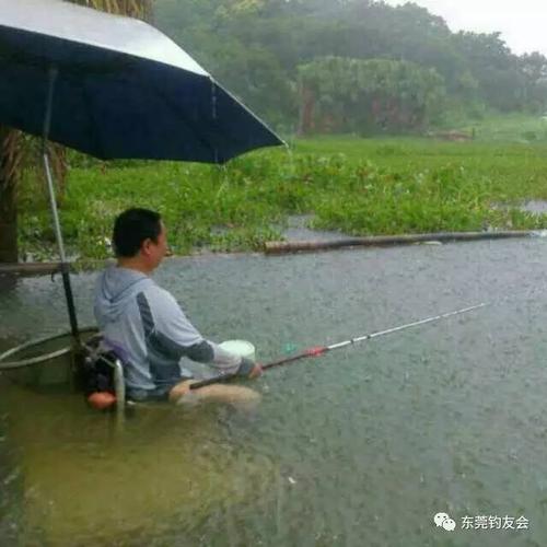 夏天打雷了如何钓鱼，夏天雷雨打雷会打多久？