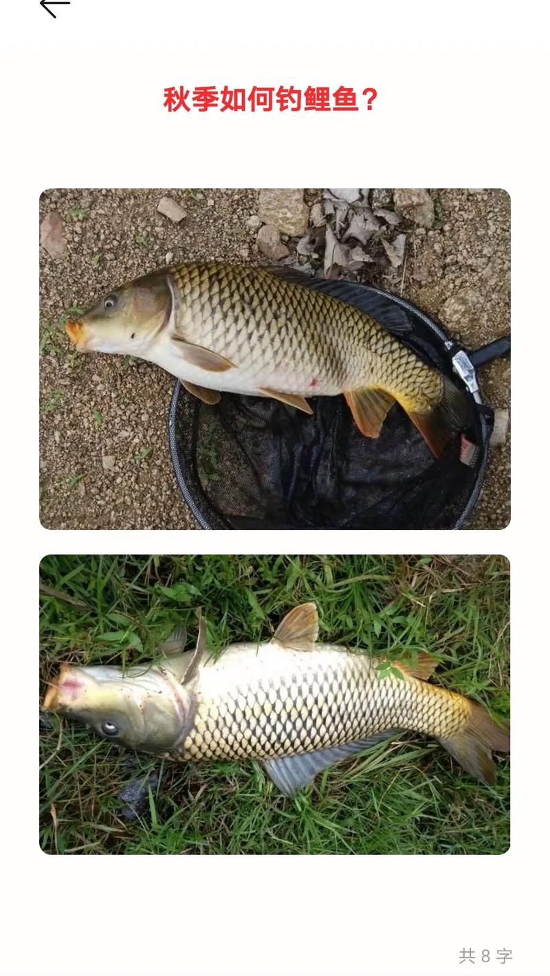 立夏前后如何河里钓鱼的简单介绍